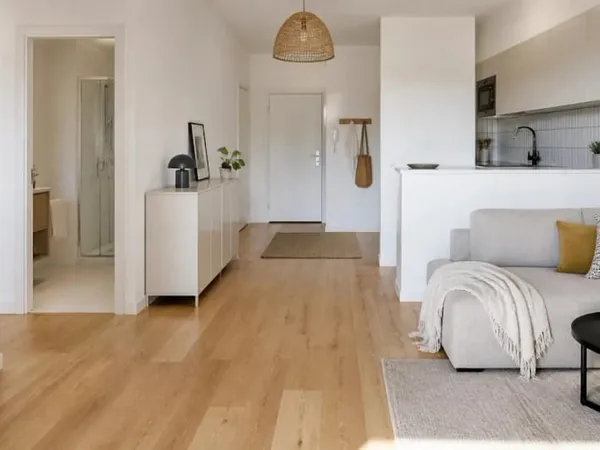 Appartement 1 pièce 24 m²