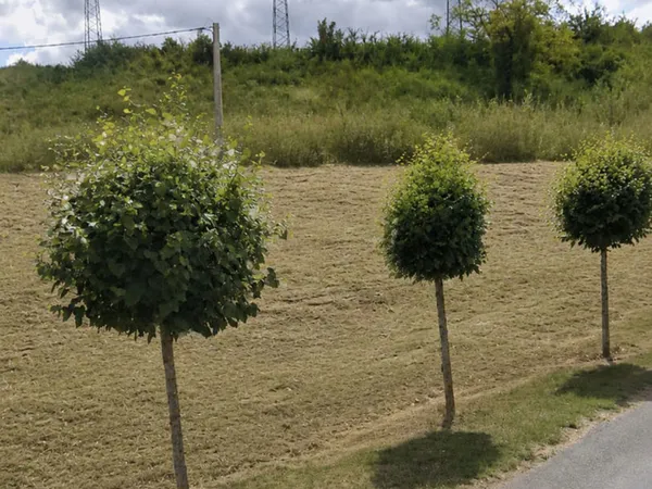Terrain constructible d'une superficie de 3510 m2