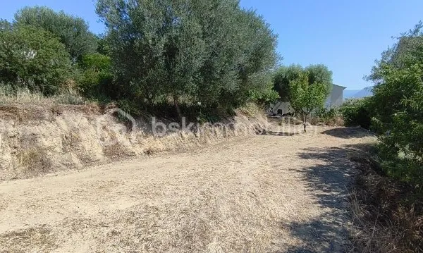 Terrain 530 m²