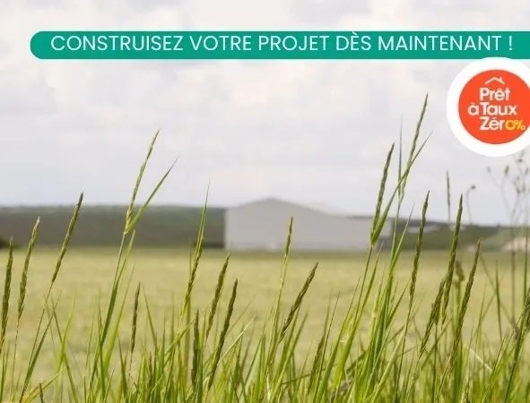 Terrain 439 m²