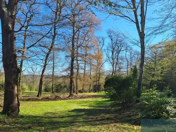 Terrain à bâtir Vente Sadirac  2380m² 350000€