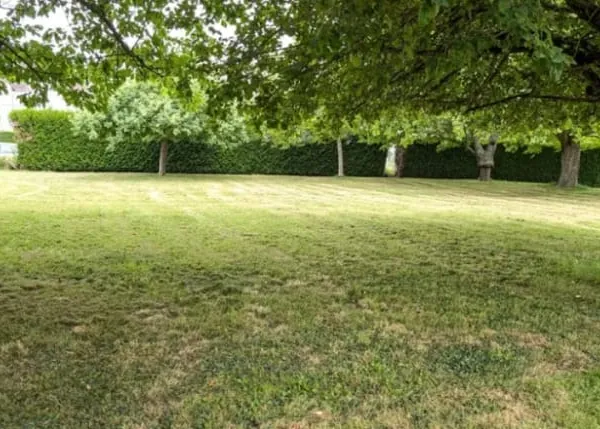 Terrain 538 m²