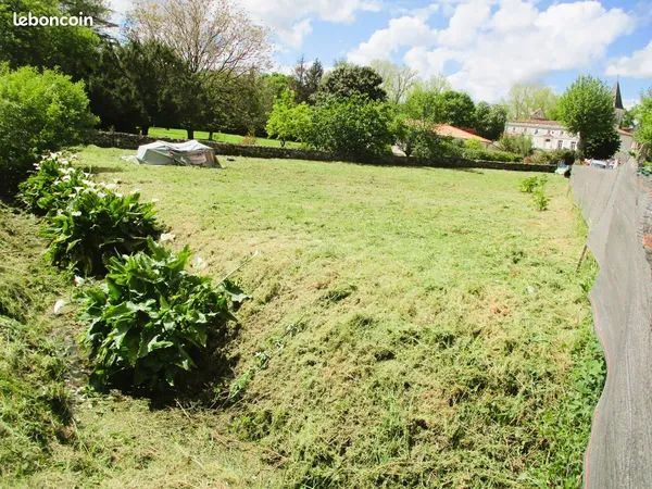 En bordure de ruisseau, un coin de verdure
