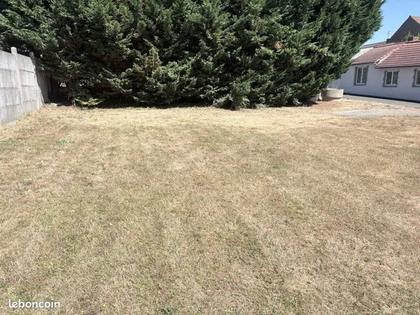 Terrain constructible