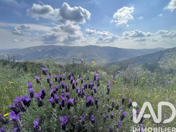 Terrain 39120 m²