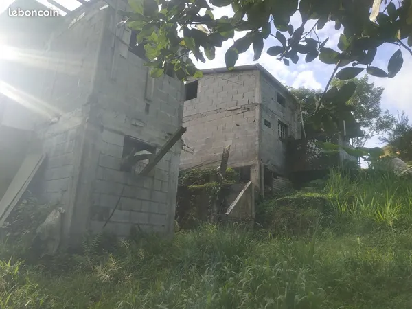 Lot de 2 maisons a finir