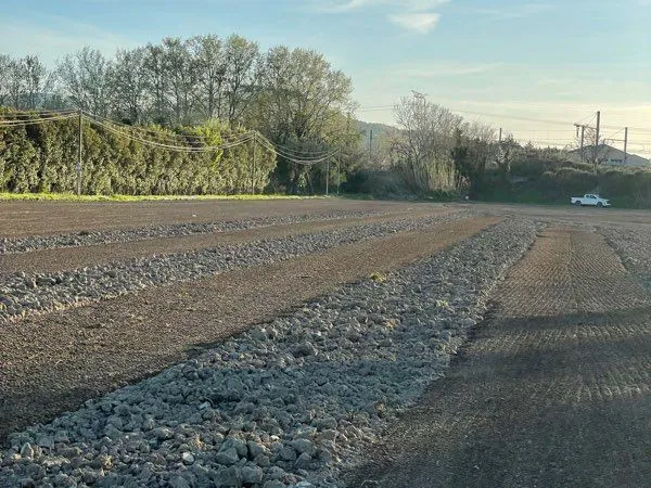 Terrain agricole