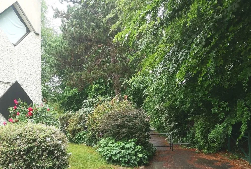 Photo 24