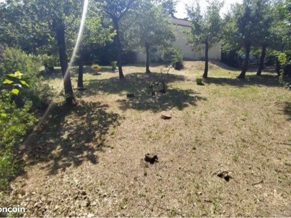 Terrain constructible