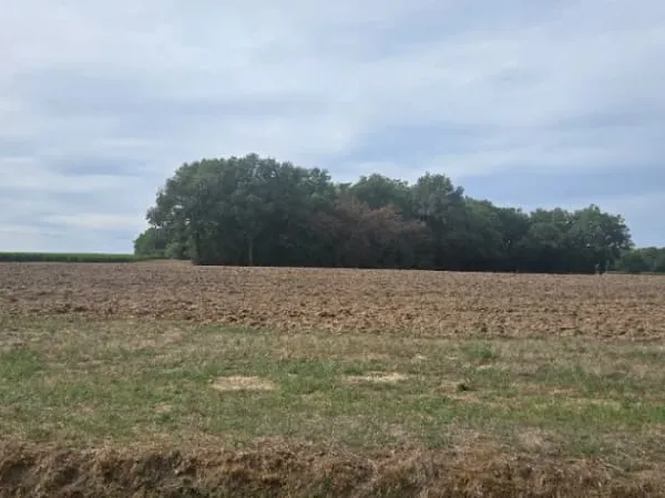 Terrain 2530 m²
