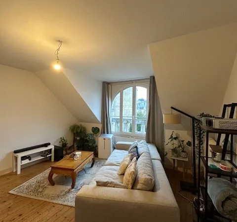 Appartement T3, centre ville, jardin des plantes, parc de Tessé