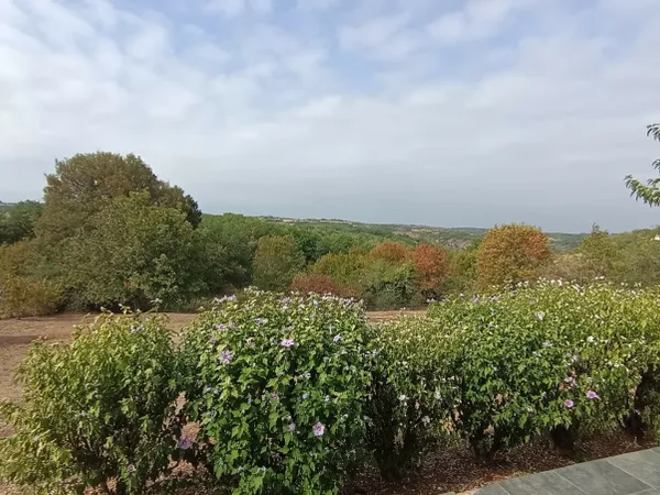 Maison 6 pièces 155 m²