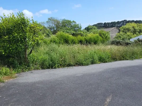 Terrain 278 m²