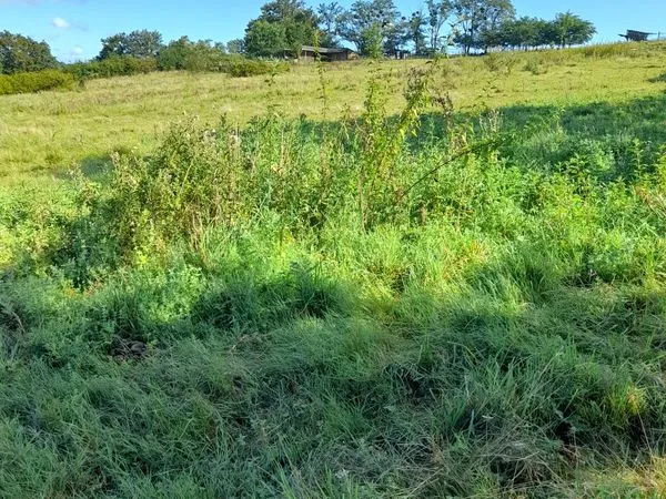 Petite structure équestre a vendre ou a louer