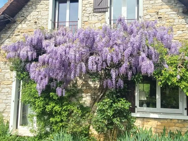 Maison de campagne