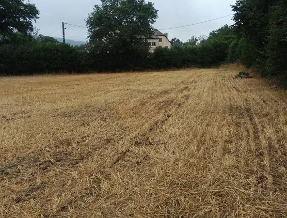 Terrain à vendre