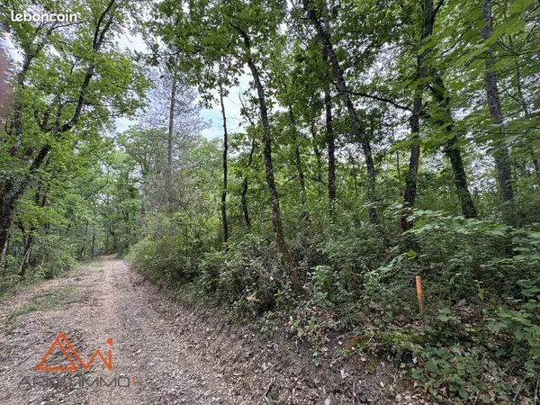 Terrain 37234 m² Lisle-sur-Tarn