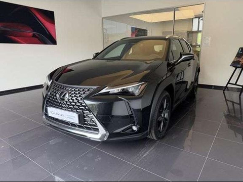 Lexus UX Lexus UX 300h Pack 2WD MC25
