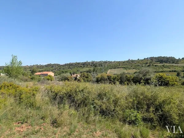 Terrain à lotir 4905 m²