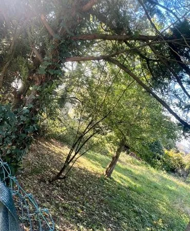 Terrain constructible 300m