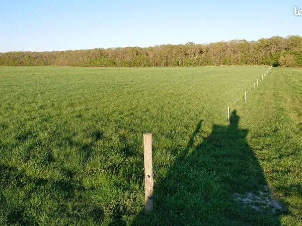Terrain Agricole