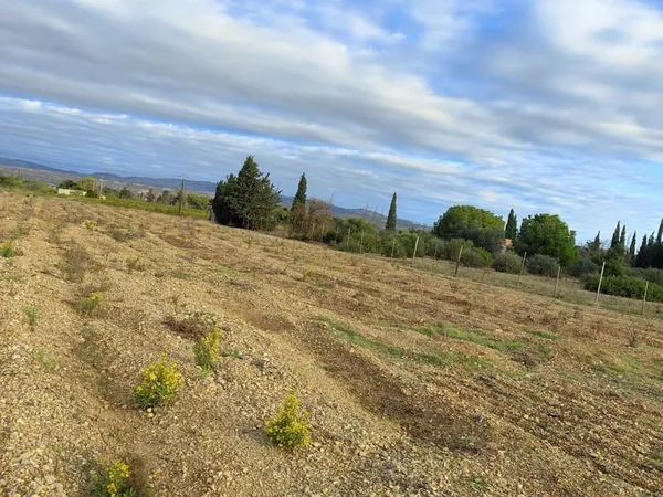 Terrain 3990 m²
