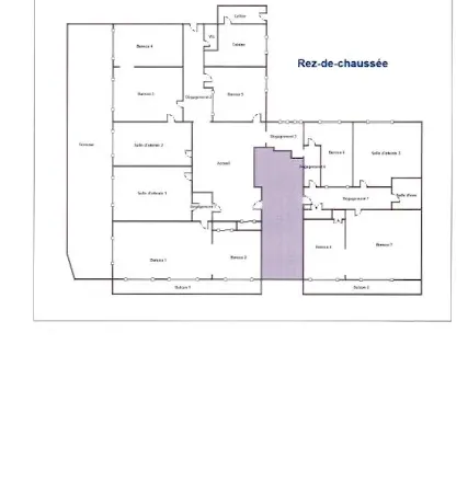 Local 202 m²