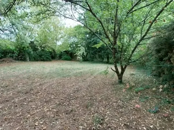 Terrain 710 m²