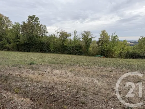 Terrain 5290 m²