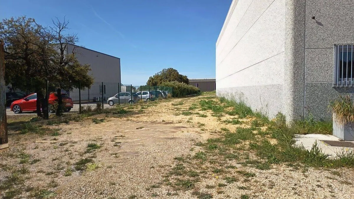Photo 8