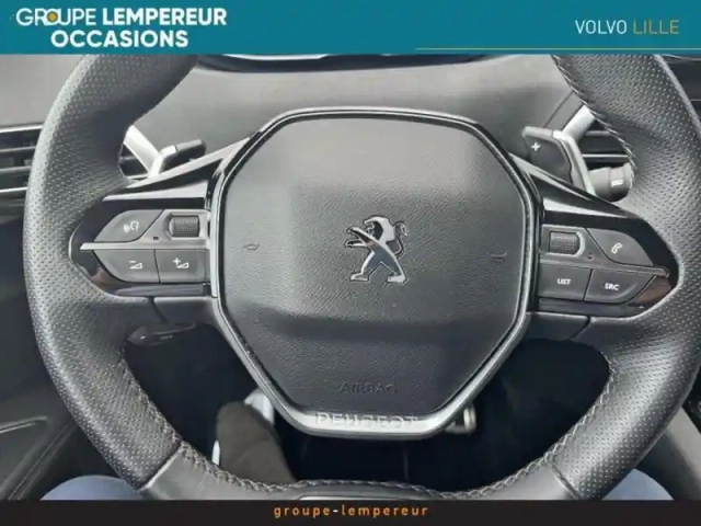 Peugeot 3008 1.5 bluehdi 130ch s&amp;s gt eat8 — photo 12