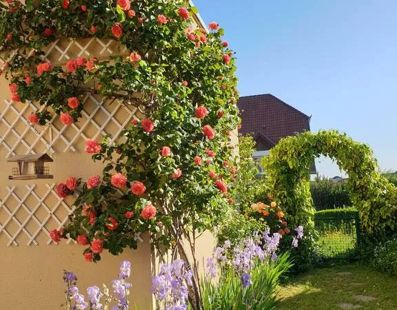 Appartement 4 pièces 97 m²