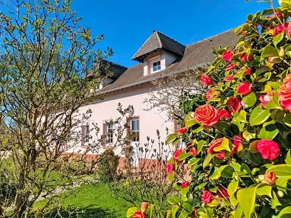 CLERES - Maison 150 m² de 4 chambres et un bureau