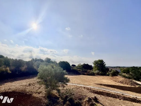 Terrain 1000 m²