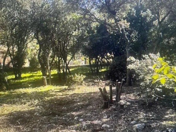 Terrain 1000 m²