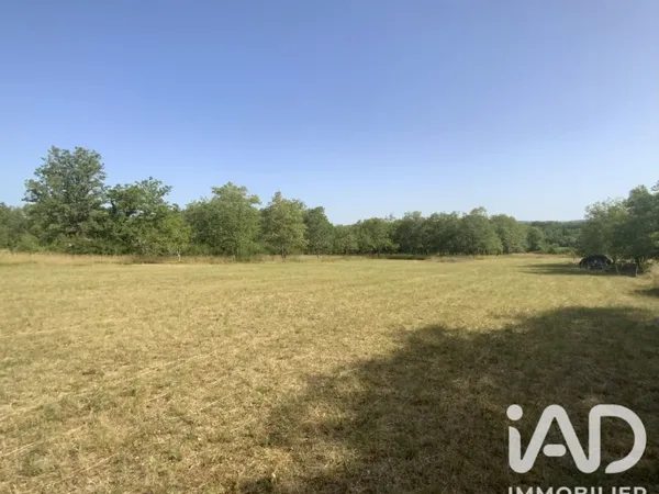 Terrain 8081 m²