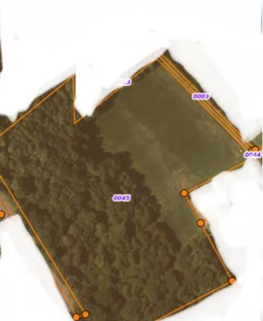 Terre et bois à 20 min de Pau et 5 minutes de Morlaas