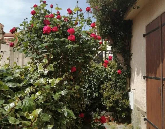 Appartement 3 pièces 50 m²