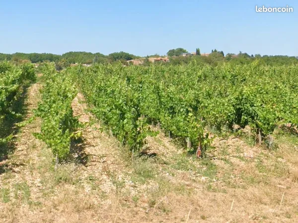 Bien agricole et foncier Vente Sérignac 40000m² 1000€