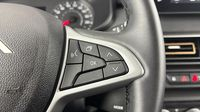 Dacia Sandero 1.0 ECO-G 100ch Stepway Extreme + -24 — photo 24