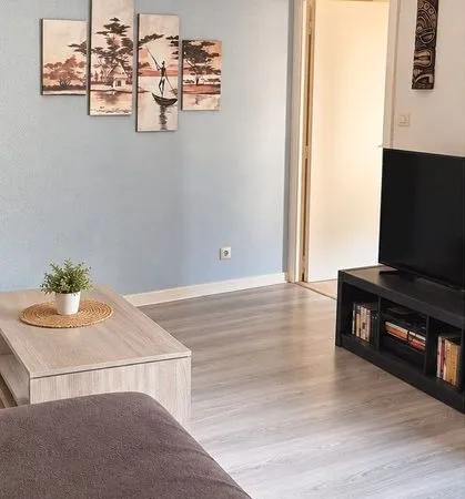Appartement meublé T2 44 m2 hyper centre