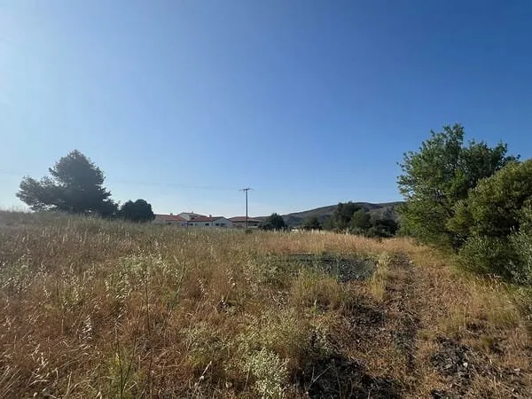 Terrain - 472