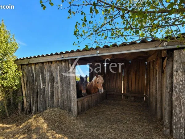 Propriété 4 pièces 115 m²