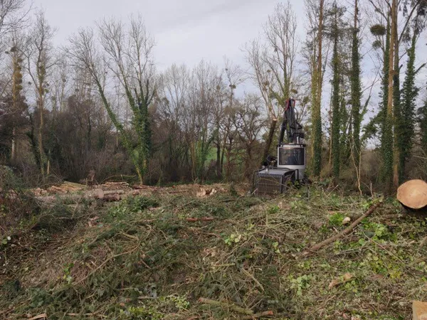 Vend terrain a reboiser
