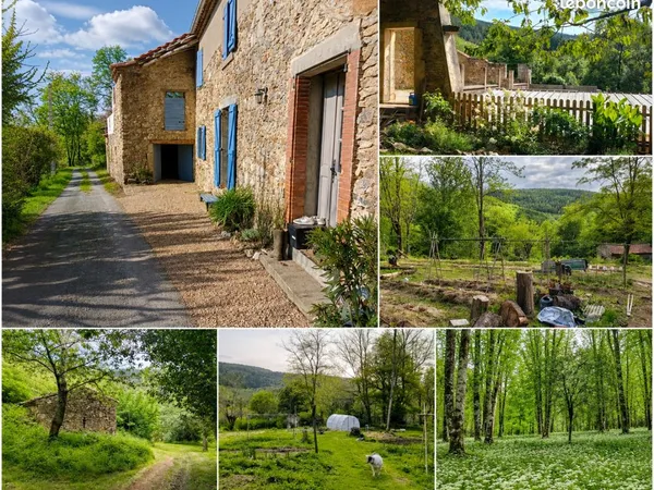 Propriété familiale avec 2 maisons et 3 ha - Tarn