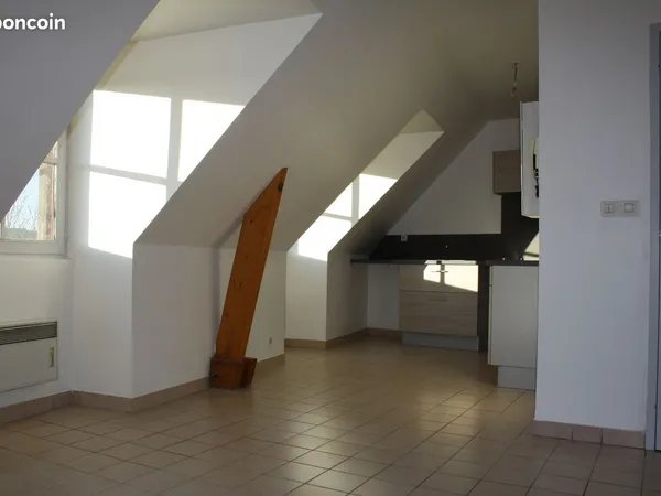 Appartement T2 47m2 Le Mans centre