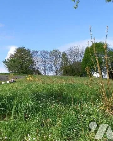 Terrain 910 m²