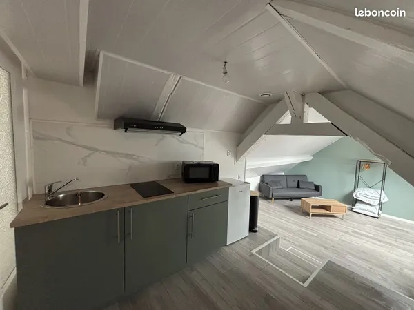 Appartement 1 pièce 24 m²