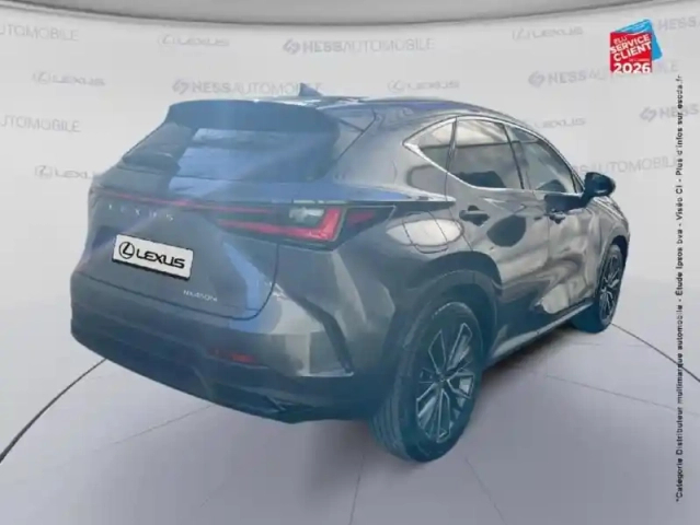 Lexus Nx 450h+ executive 4wd my25 — photo 6