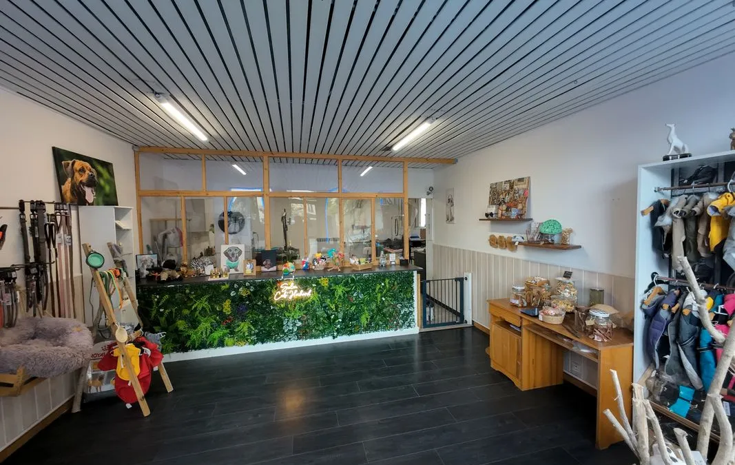 Photo 1